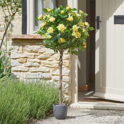Smart Garden Regent's Roses - Sunshine Yellow 120cm - image 2