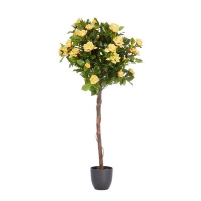 Smart Garden Regent's Roses - Sunshine Yellow 120cm - image 2