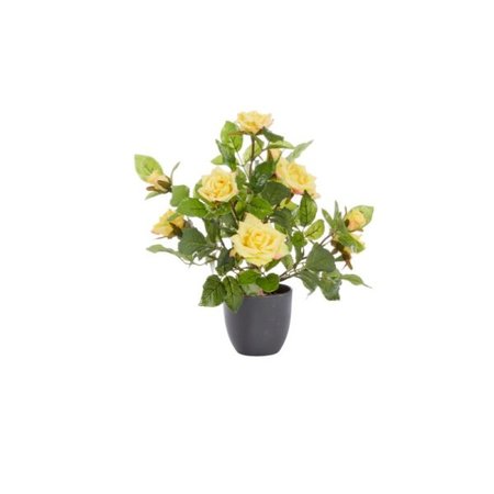 Smart Garden Regent's Roses - Sunshine Yellow 40cm - image 2