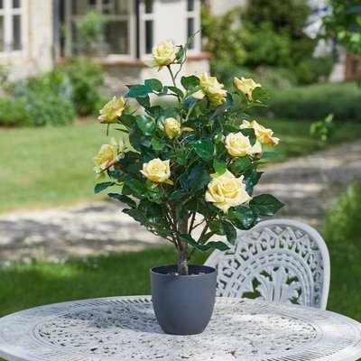 Smart Garden Regent's Roses - Sunshine Yellow 60cm - image 2