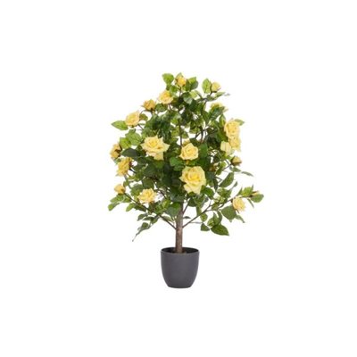 Smart Garden Regent's Roses - Sunshine Yellow 80cm - image 2