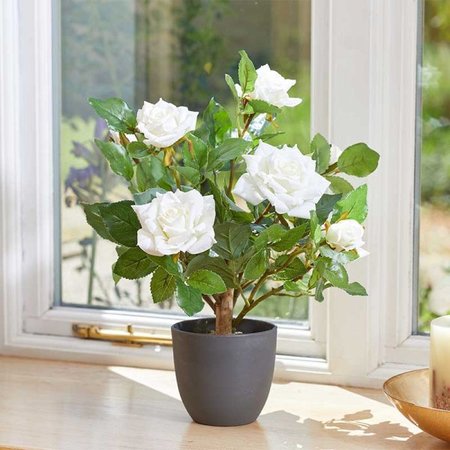 Smart Garden Regent's Roses - White 40cm - image 1
