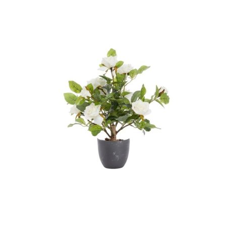 Smart Garden Regent's Roses - White 40cm - image 2