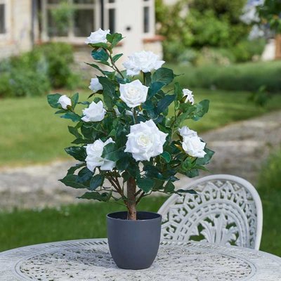 Smart Garden Regent's Roses - White 60cm - image 1