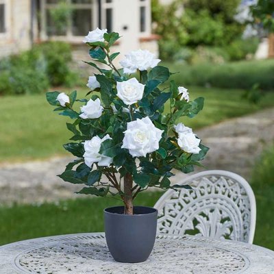 Smart Garden Regent's Roses - White 60cm - image 2