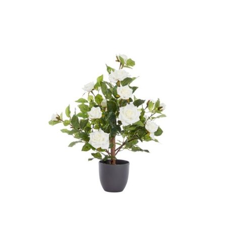 Smart Garden Regent's Roses - White 60cm - image 2