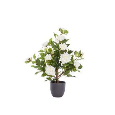 Smart Garden Regent's Roses - White 60cm - image 2