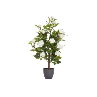 Smart Garden Regent's Roses - White 80cm - image 2