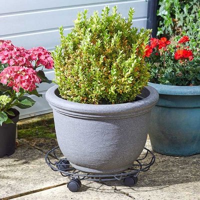 Smart Garden Titan Pot Caddy 40cm - image 2