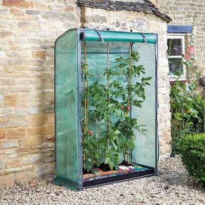 Smart Garden Tomato GroZone - image 1