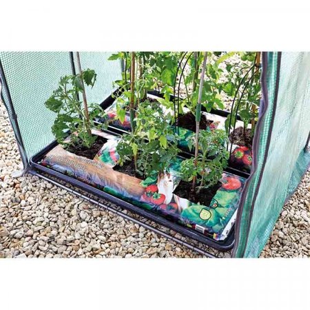 Smart Garden Tomato GroZone Max - Double Sided - image 2