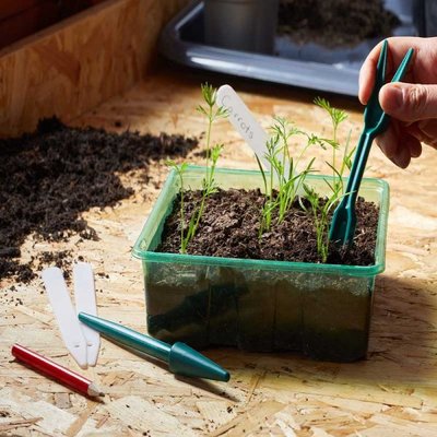 Smart Garden Widger Dibber Pencil & 15cm Plant Labels - 25 Pack - image 2