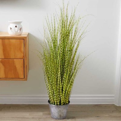 Smart Garden Zebra Grass 90cm - image 1