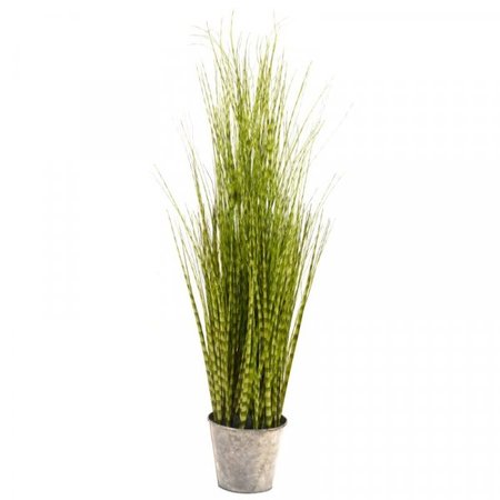 Smart Garden Zebra Grass 90cm - image 2