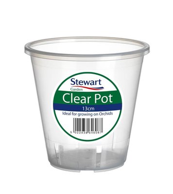 Stewart 13cm Clear Pot