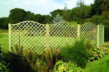 Trellis & Fencing