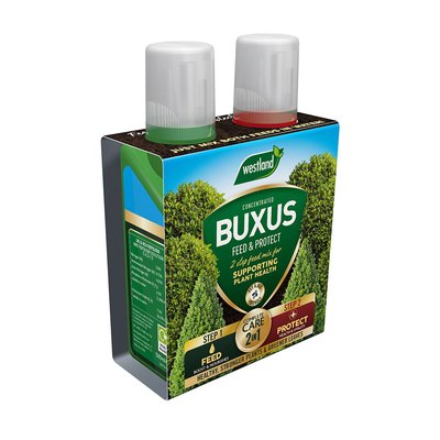 Westland 2 in1 Feed and Protect Buxus (2 x 500ml) - image 2
