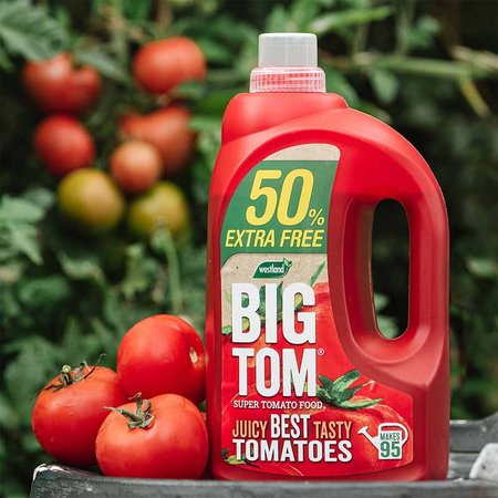 Westland BIG TOM Super Tomato Food concentrate 1.9L - image 2