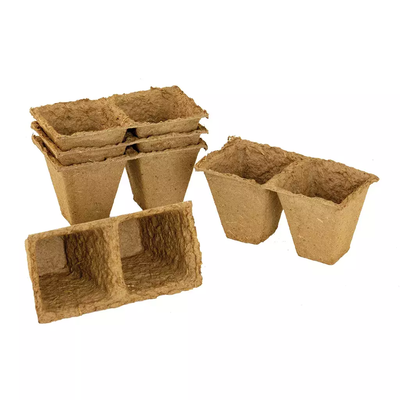 Westland Gro-Sure Fibre Pots Square 6cm - 80 Pack - image 1