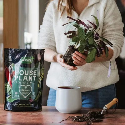 Westland Houseplant Potting Mix 10L - image 2