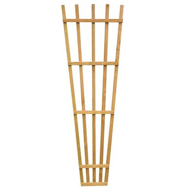 Zest Fan Trellis 0.63m x 1.83m