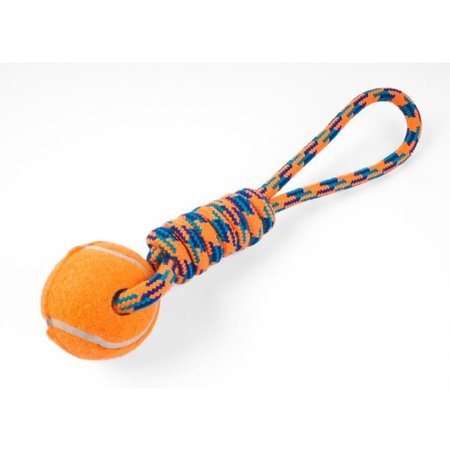 Zoon Uber-Activ Ball & Ball Lobber