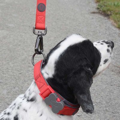 Zoon Uber-Activ Red Padded Dog Collar - Large - image 2
