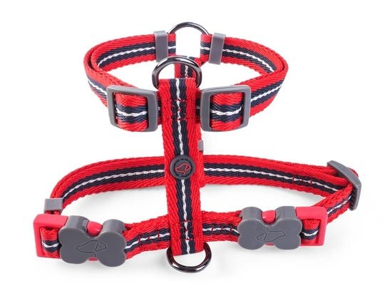 Zoon Windsor Dog Harness - Medium